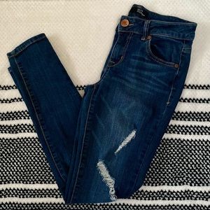 1822 Denim Distressed Skinny Jeans